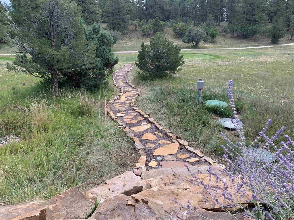 412 S Badger Trail Ridgway CO 81432