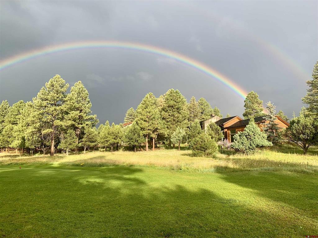 412 S Badger Trail Ridgway CO 81432