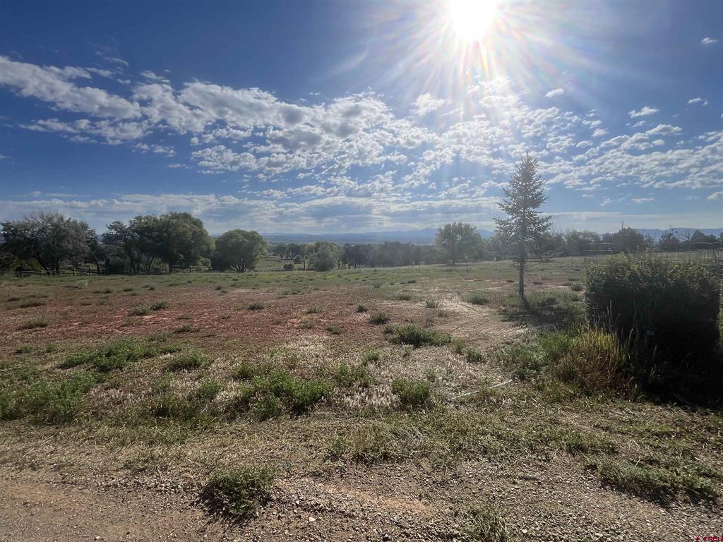 14155 Road 20 Cortez CO 81321