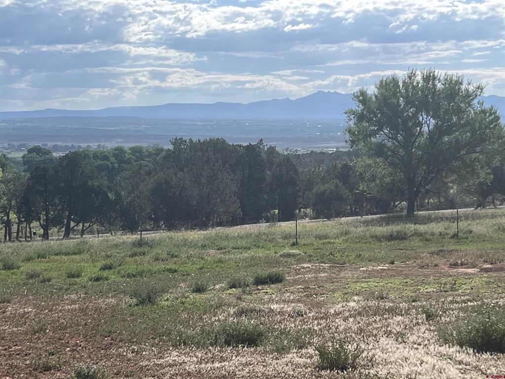 14155 Road 20 Cortez CO 81321