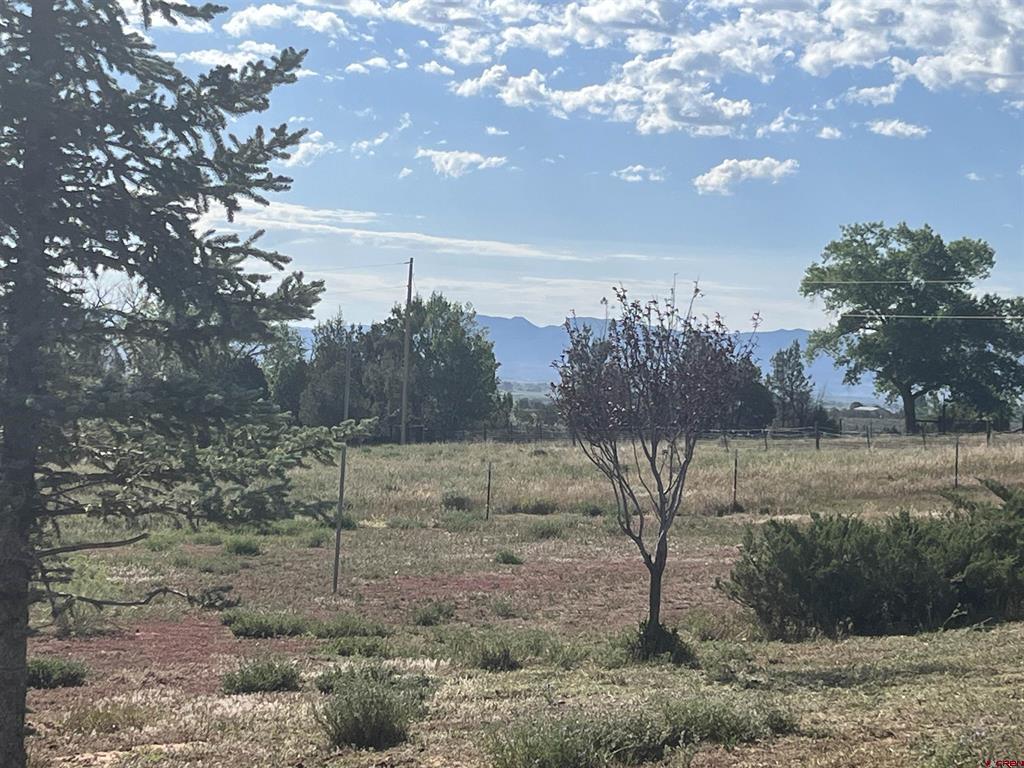 14155 Road 20 Cortez CO 81321