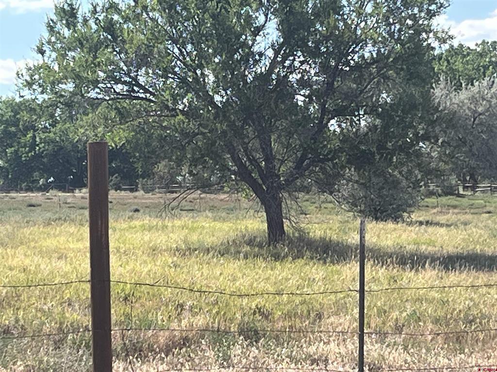 14155 Road 20 Cortez CO 81321