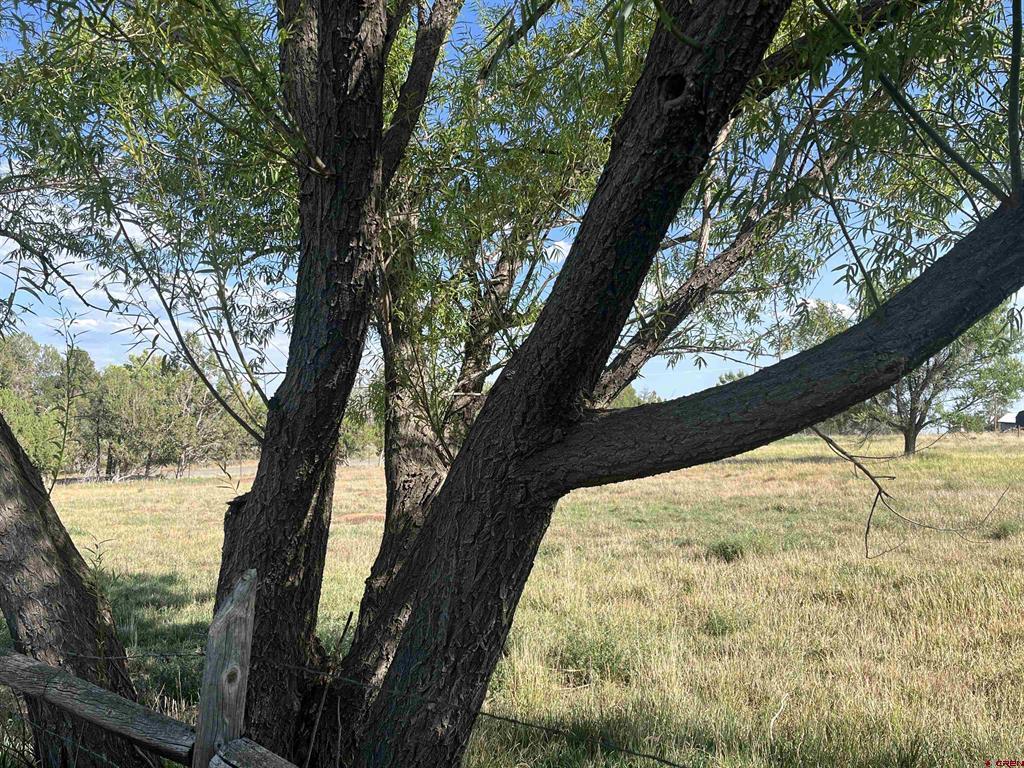 14155 Road 20 Cortez CO 81321