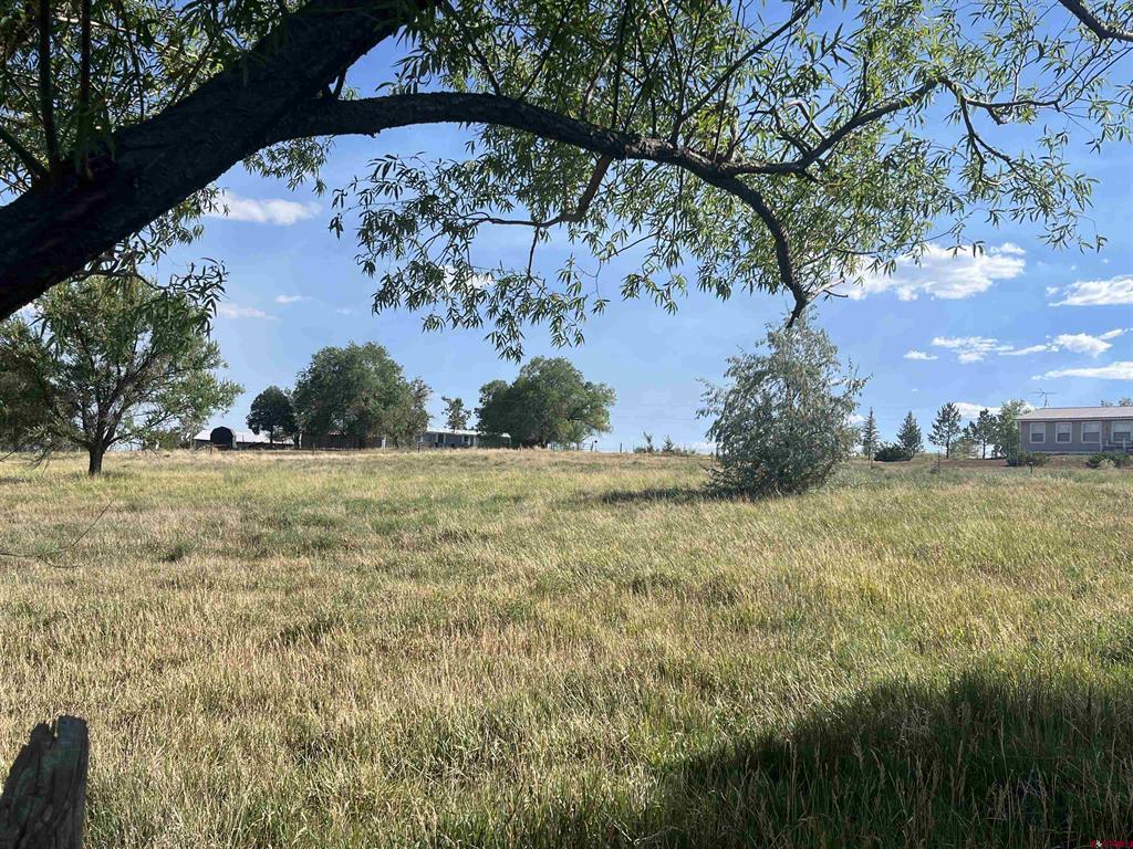 14155 Road 20 Cortez CO 81321