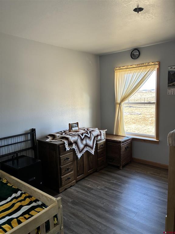12508 County Road L Antonito CO 81120