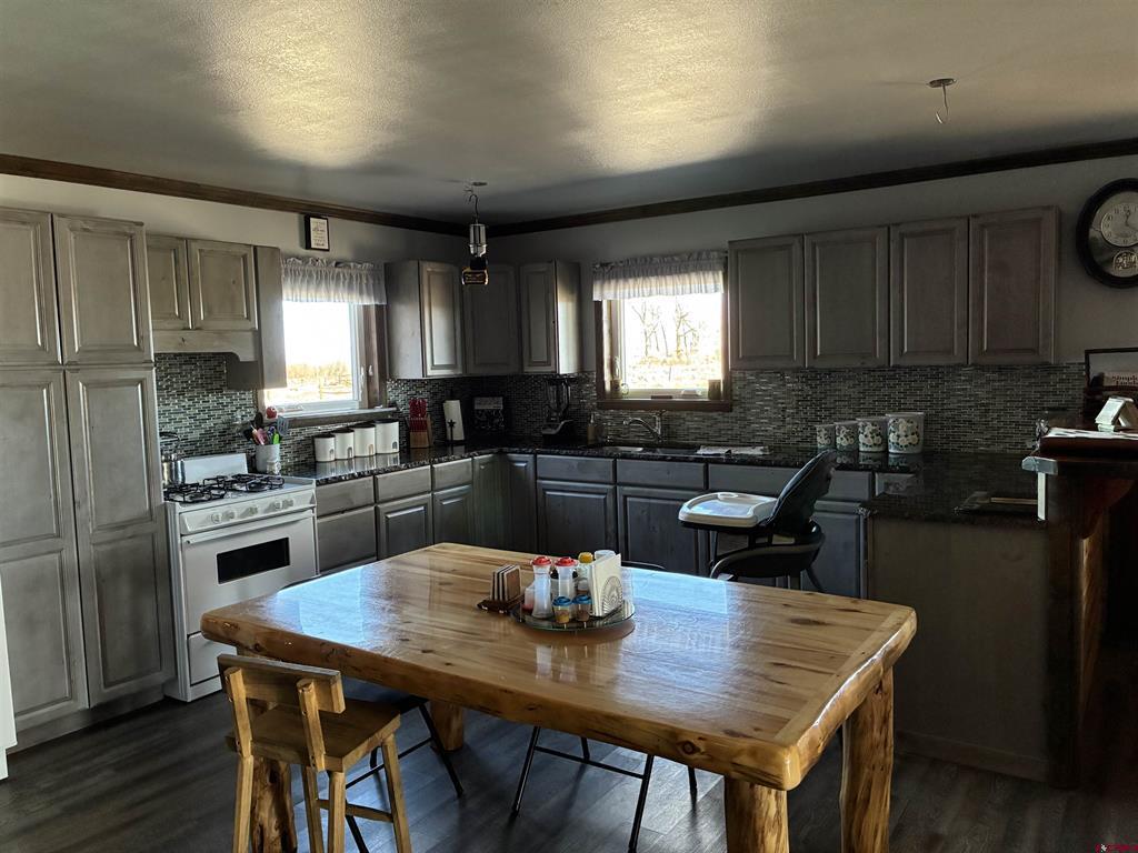12508 County Road L Antonito CO 81120