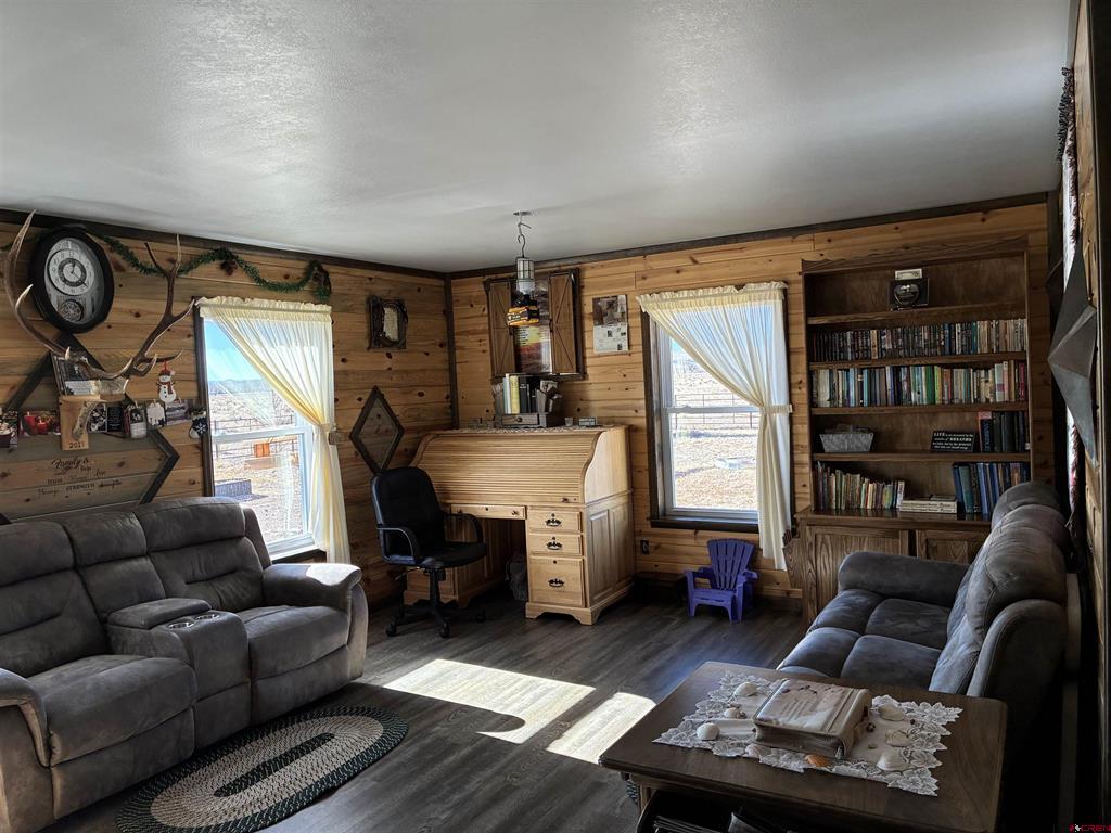 12508 County Road L Antonito CO 81120
