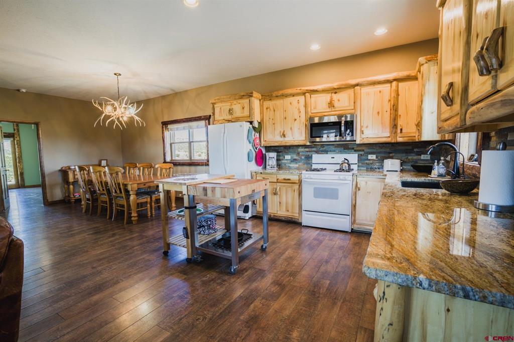 284 Antelope Trail Del Norte CO 81132