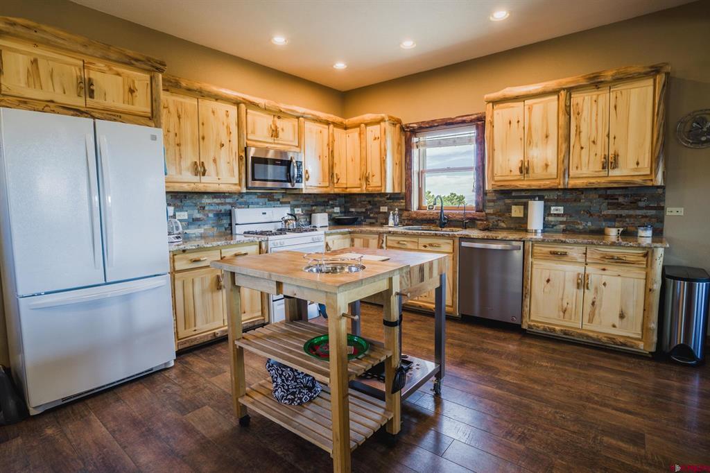 284 Antelope Trail Del Norte CO 81132