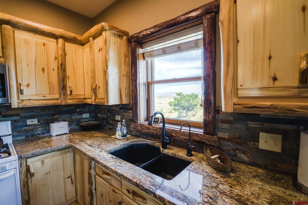 284 Antelope Trail Del Norte CO 81132
