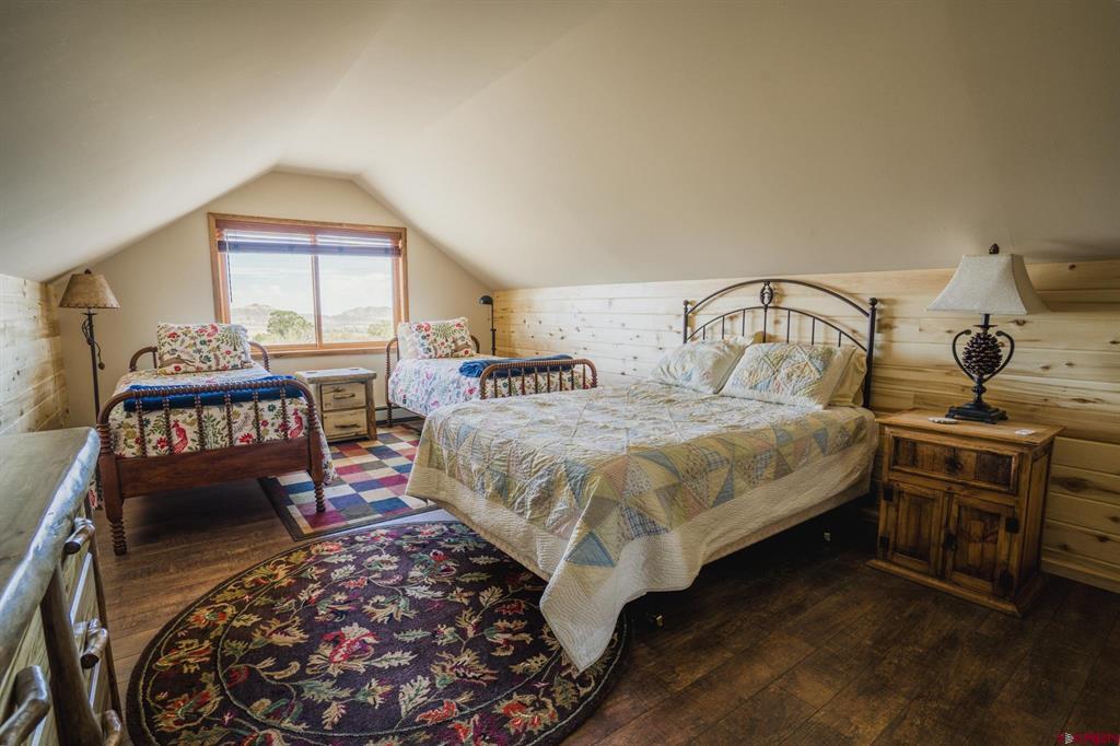 284 Antelope Trail Del Norte CO 81132