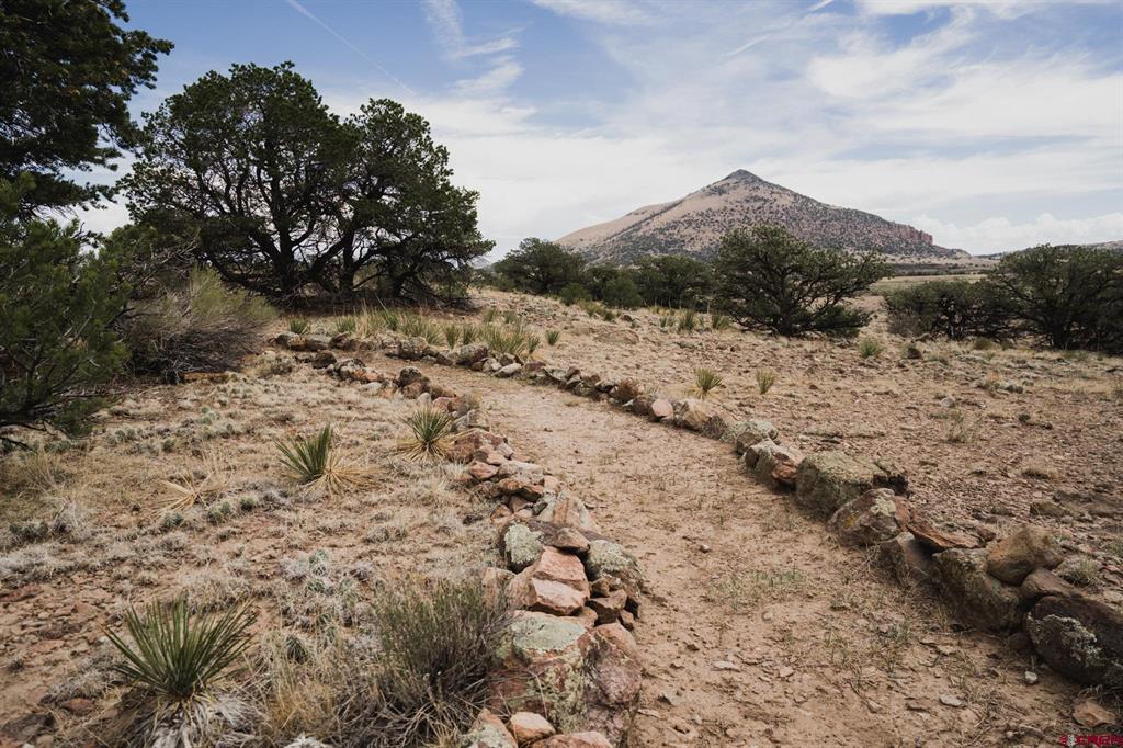 284 Antelope Trail Del Norte CO 81132