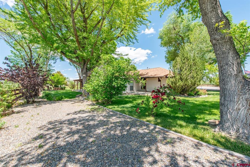 2133 6450 Road Montrose CO 81401
