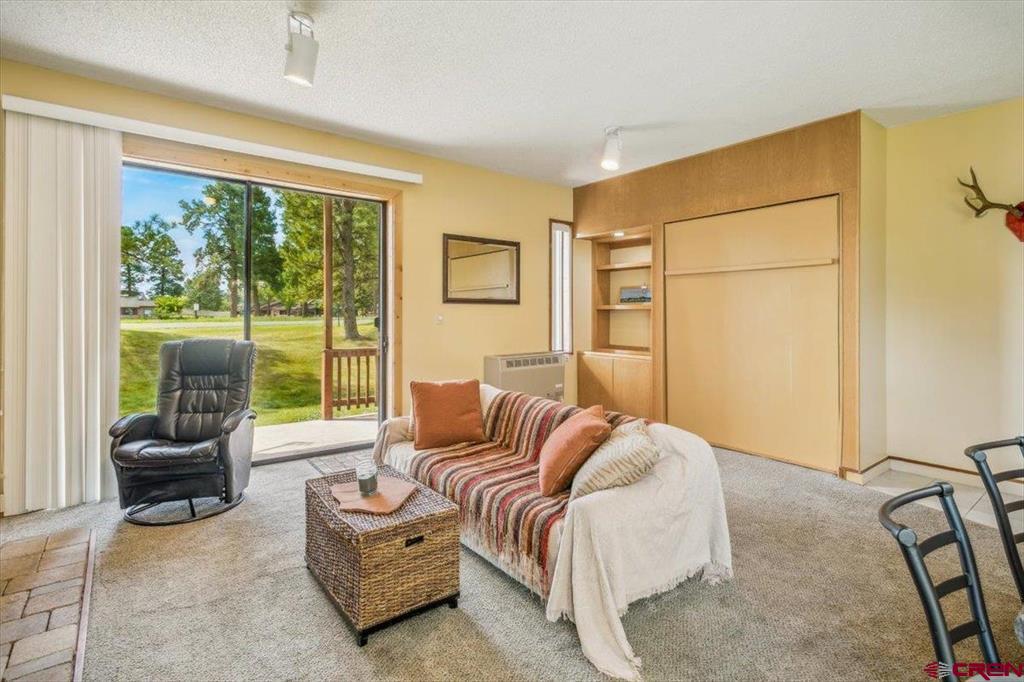 37 Valley View Drive Pagosa Springs CO 81147