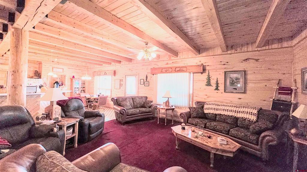 73 County Road 66a Del Norte CO 81132