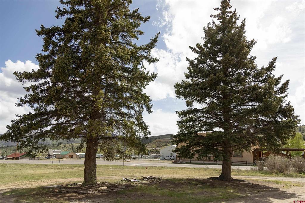 1010 La Garita Street Creede CO 81130