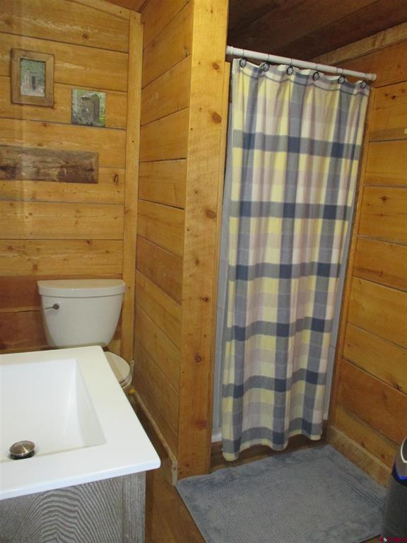 312 N Henson Street Lake City CO 81235