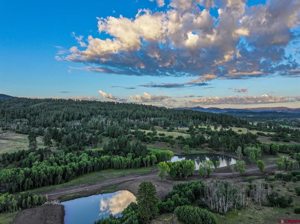 6273 County Road 382 Chromo CO 81128
