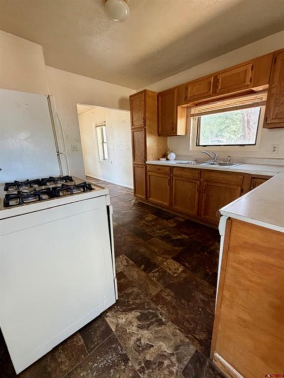 300 S Beech Street Cortez CO 81321