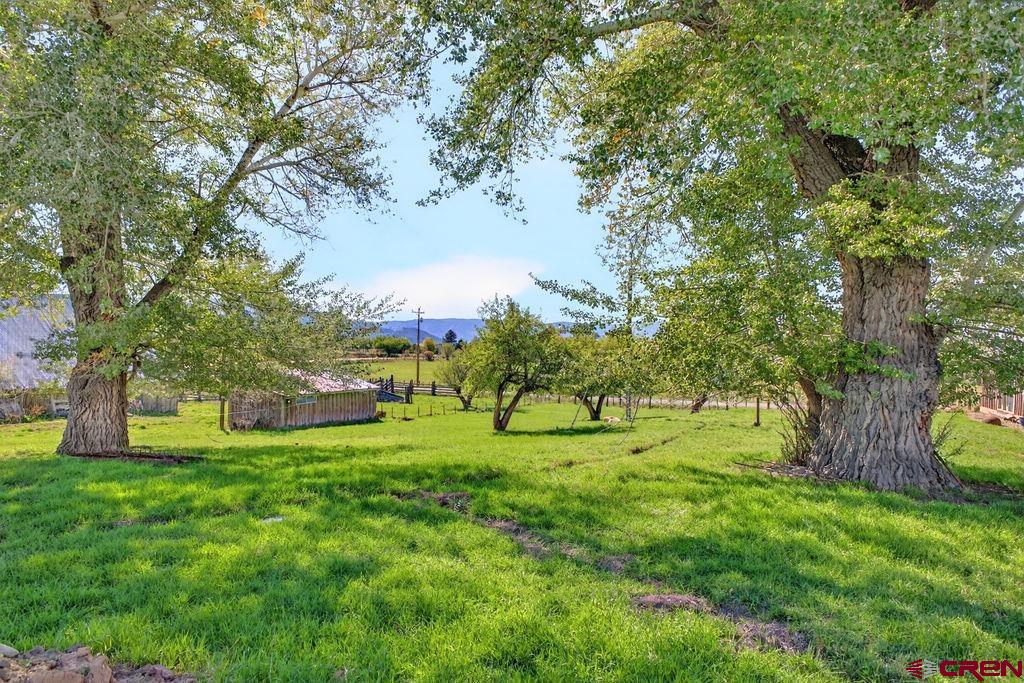 7840 Road 41 Mancos CO 81328