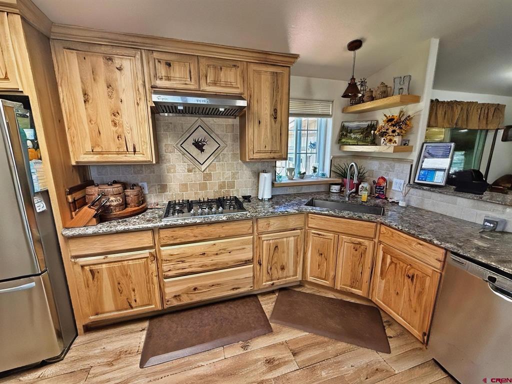 131 Crow Trail South Fork CO 81154
