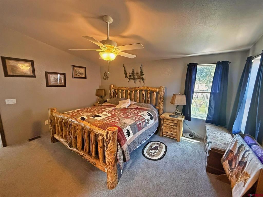 131 Crow Trail South Fork CO 81154