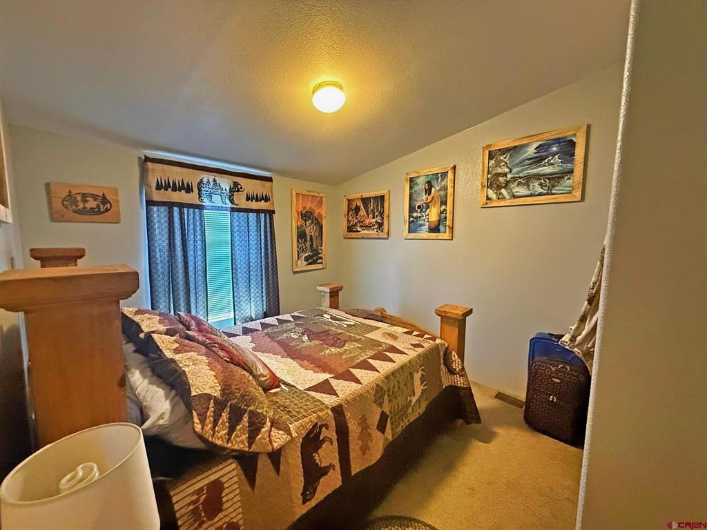 131 Crow Trail South Fork CO 81154