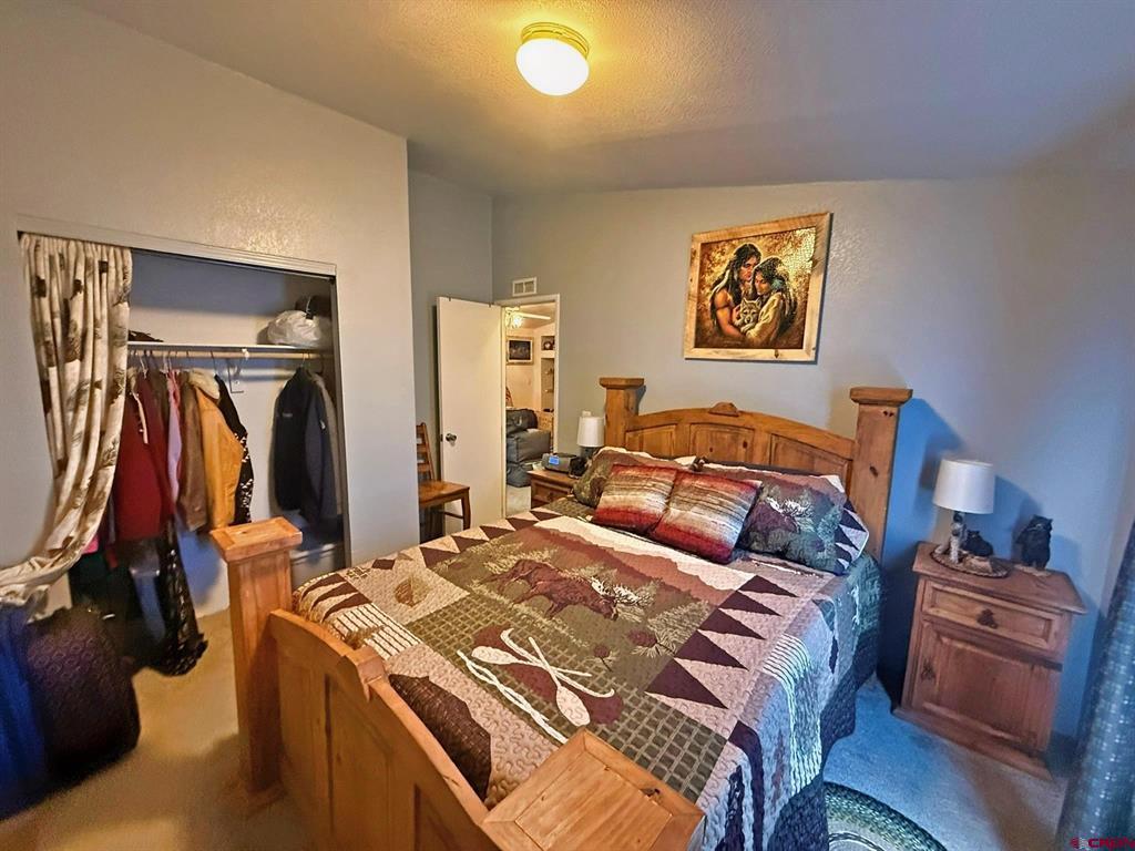 131 Crow Trail South Fork CO 81154