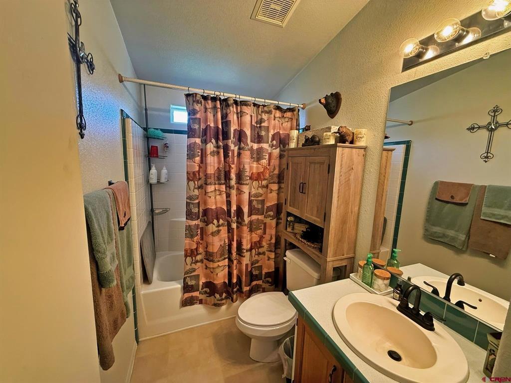 131 Crow Trail South Fork CO 81154
