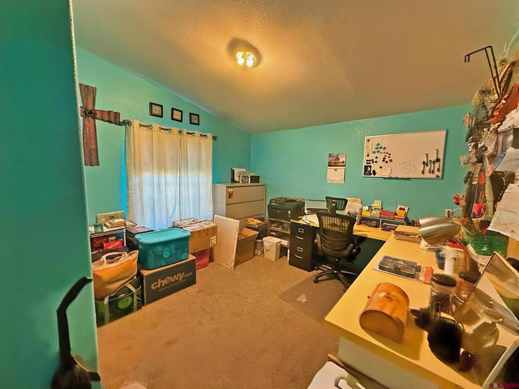 131 Crow Trail South Fork CO 81154