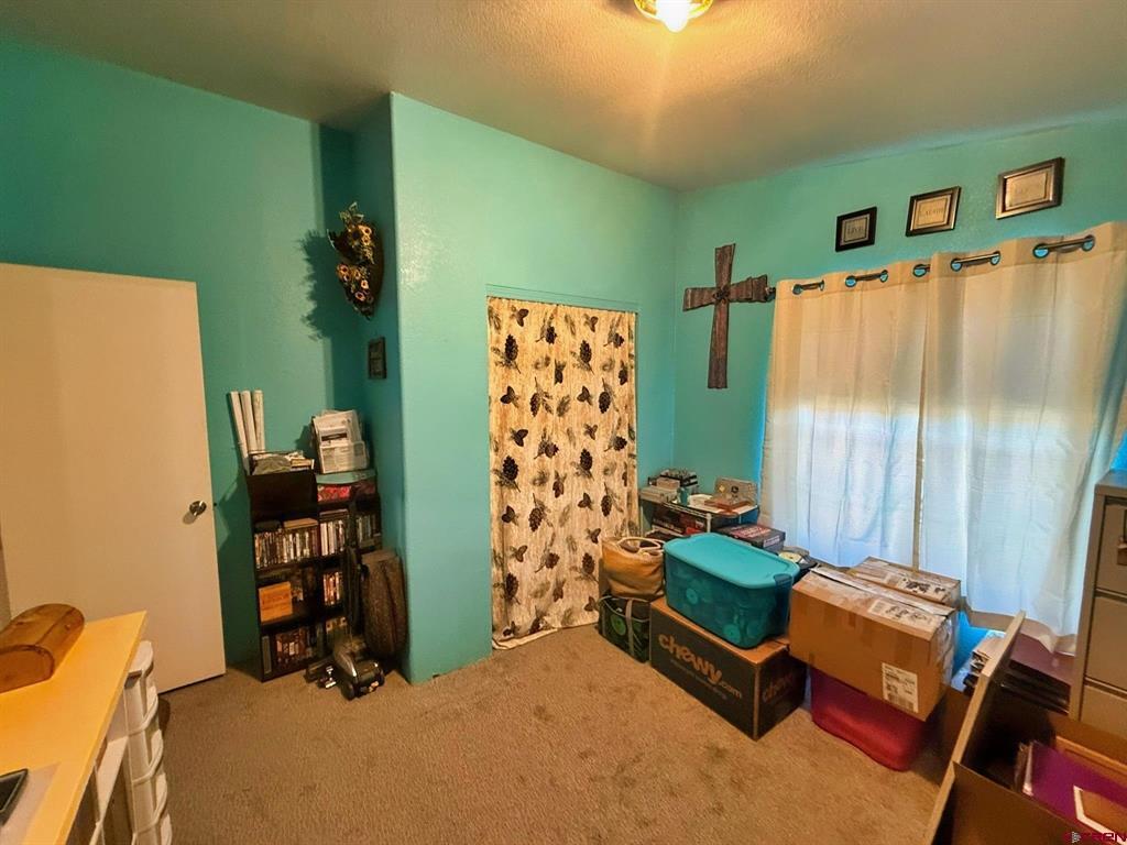 131 Crow Trail South Fork CO 81154