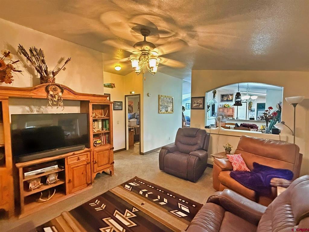 131 Crow Trail South Fork CO 81154