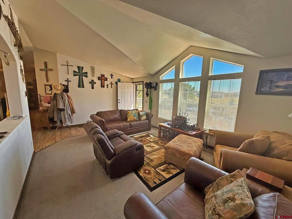 131 Crow Trail South Fork CO 81154