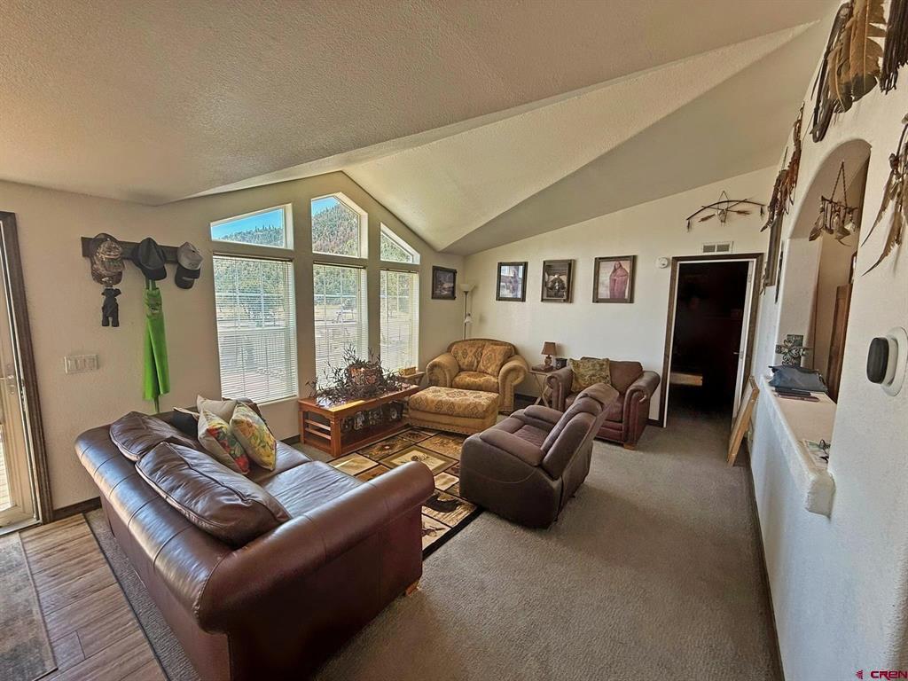 131 Crow Trail South Fork CO 81154