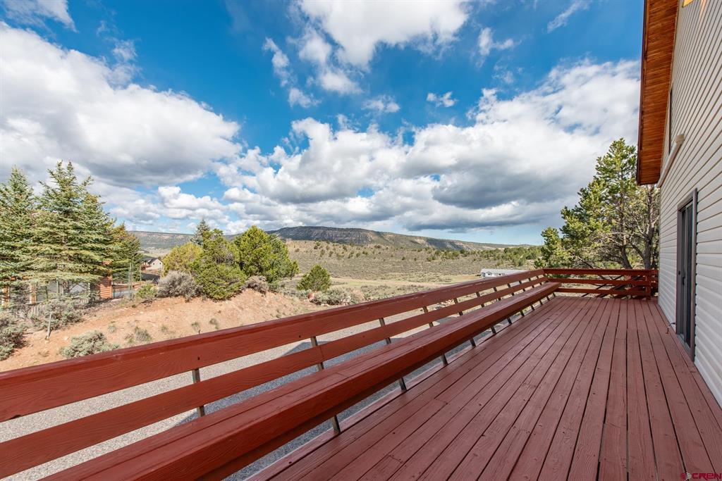525 Park Lane Ridgway CO 81432