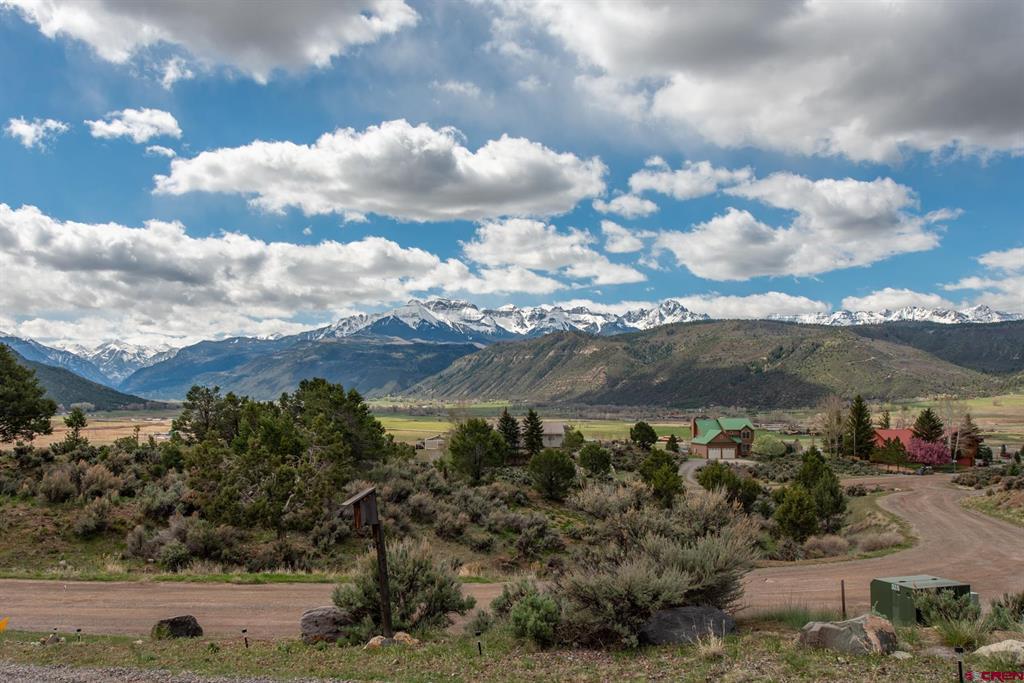 525 Park Lane Ridgway CO 81432