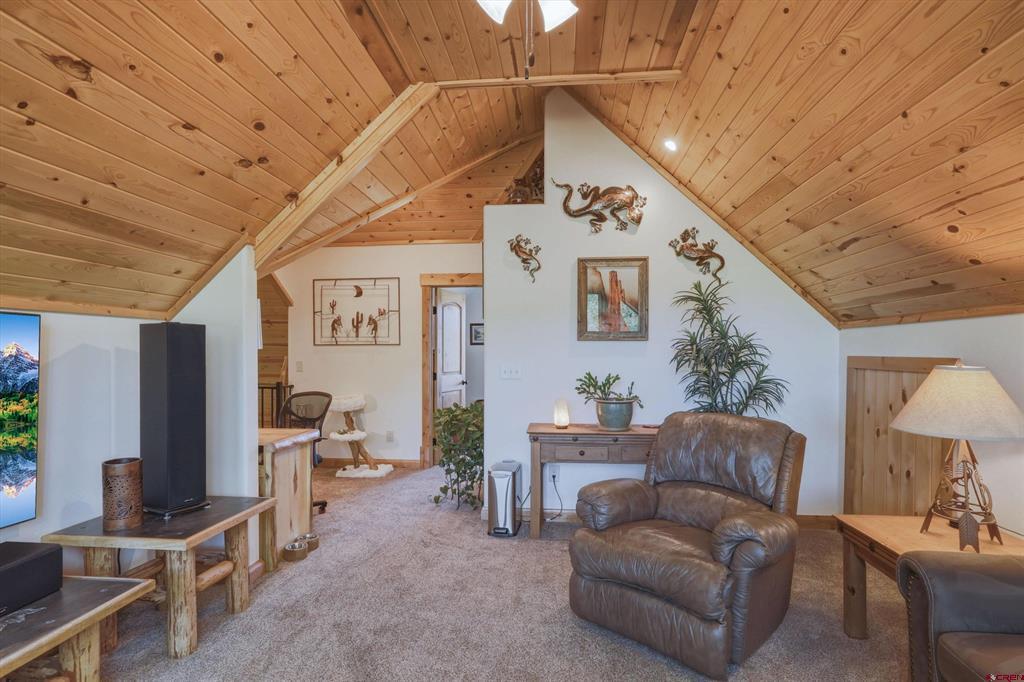237 Rio Grande Drive South Fork CO 81154