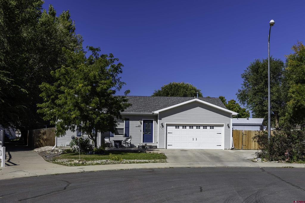 271 Bristlecone Court Montrose CO 81403