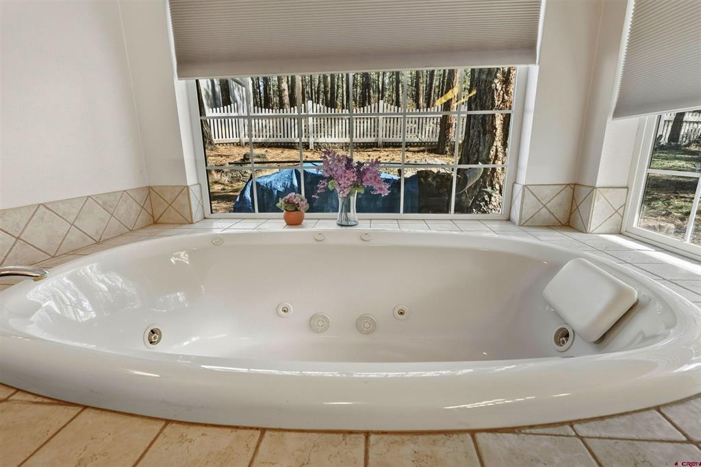 3051A County Road 200 Pagosa Springs CO 81147