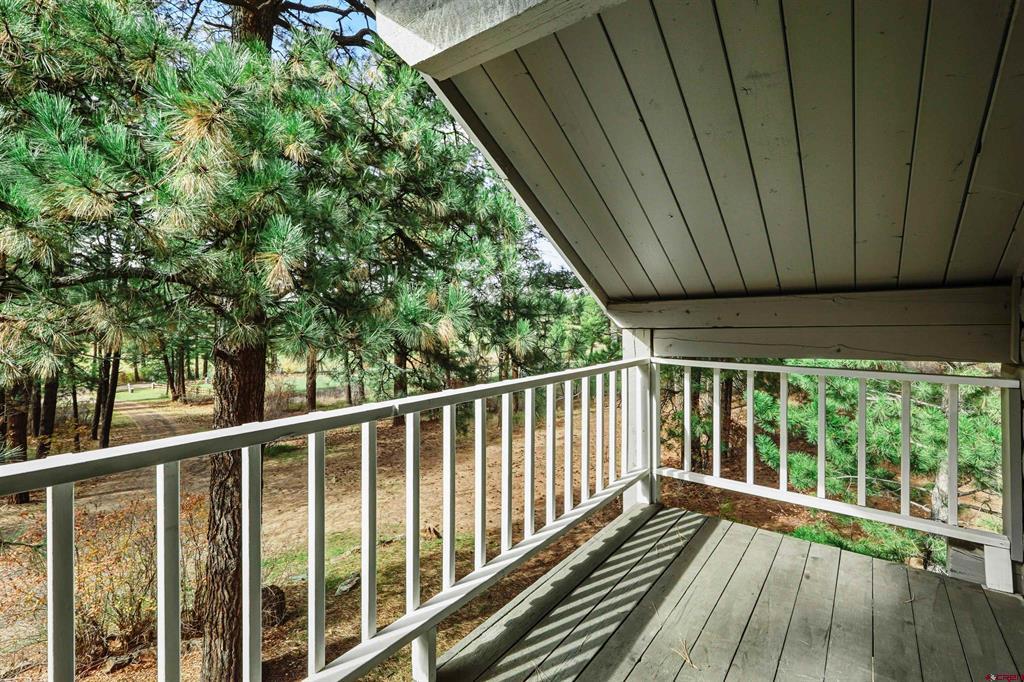 3051A County Road 200 Pagosa Springs CO 81147