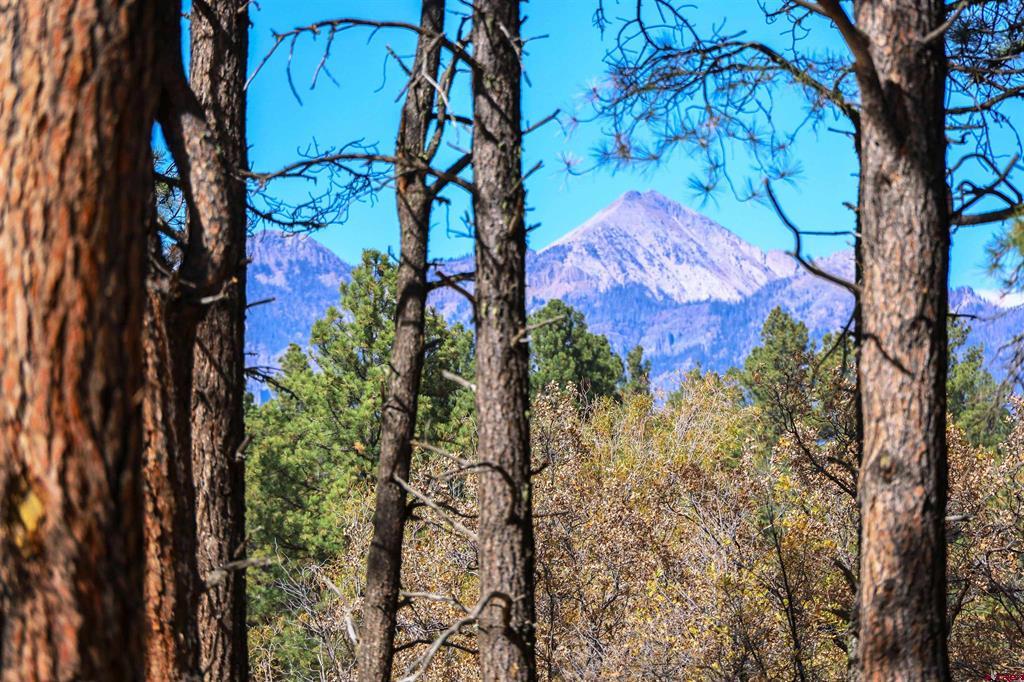 3051A County Road 200 Pagosa Springs CO 81147