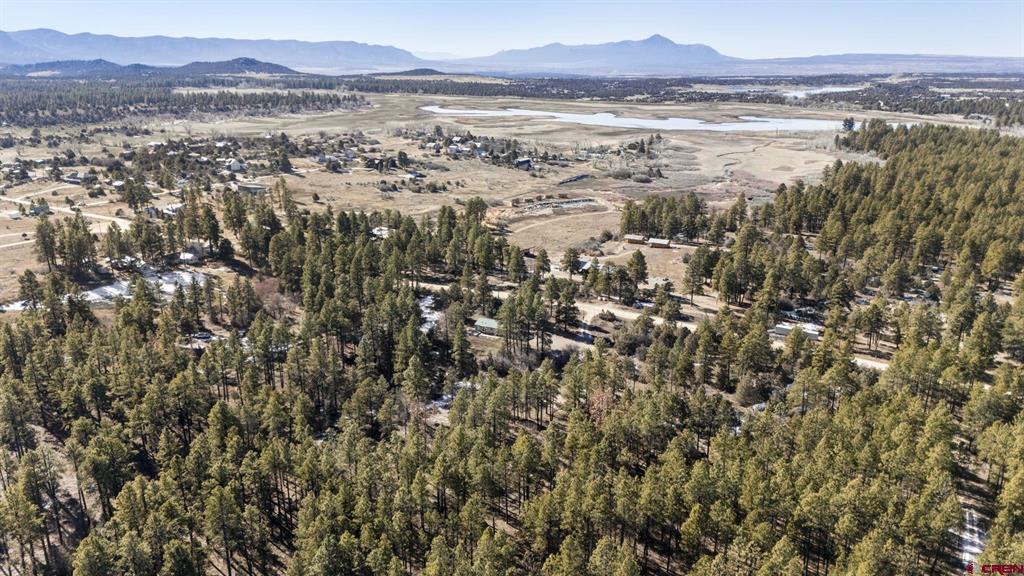 14068 Road 37 Mancos CO 81328