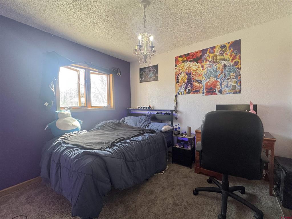 211 Spruce Drive Alamosa CO 81101