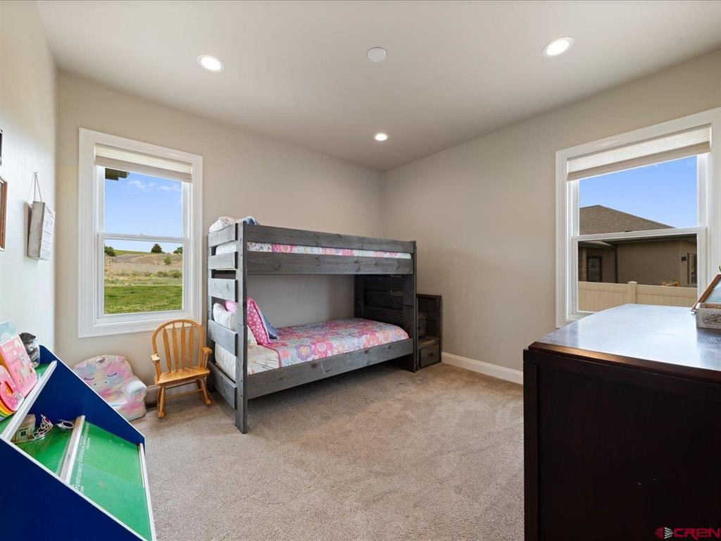 2017 Constitution Loop Montrose CO 81401