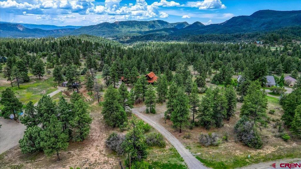 3361 Meadows Drive Pagosa Springs CO 81147