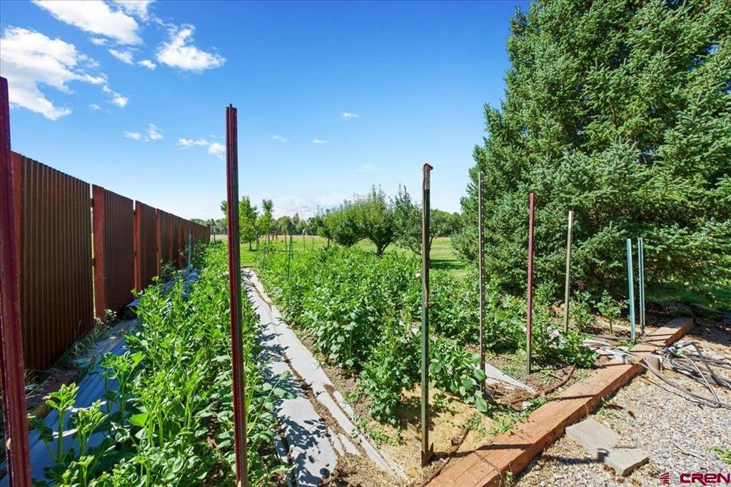 15278 6160 Road Montrose CO 81403