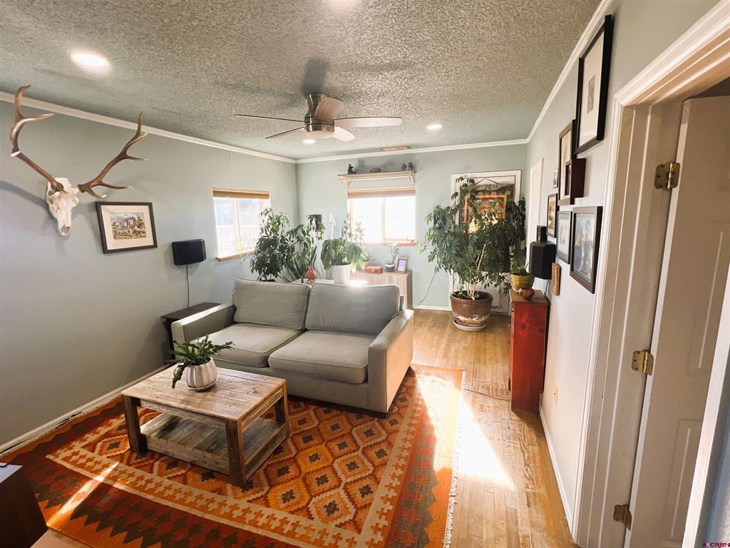 429 County Road 10 S Alamosa CO 81101