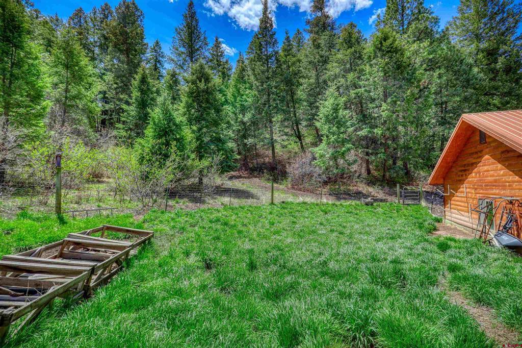 2535 Loma Linda Drive Pagosa Springs CO 81147