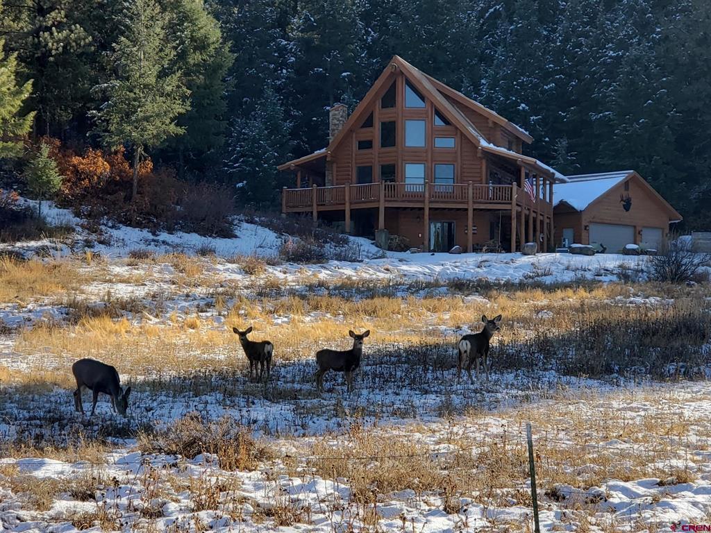 2535 Loma Linda Drive Pagosa Springs CO 81147