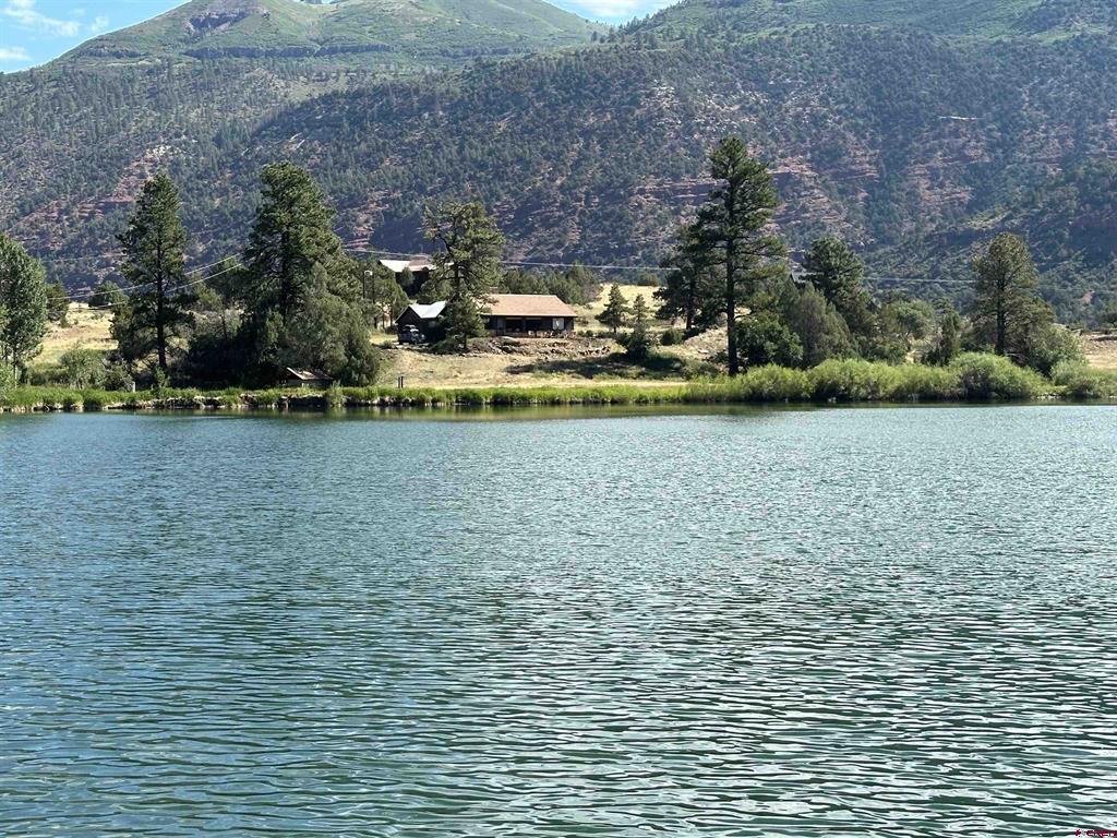 2871 County Road Ridgway CO 81432